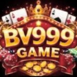 BV999 Game
