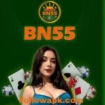 BN55 Game